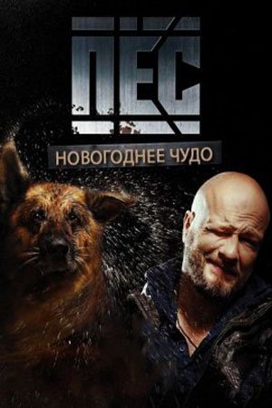 Новогодний Пёс фильм 2018 смотреть онлайн сериал в хорошем качестве